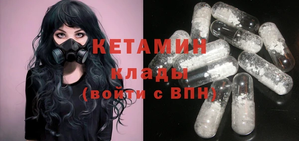 индика Алексин