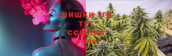 гидропоника Карпинск
