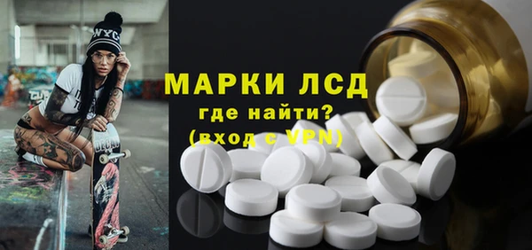 индика Алексин