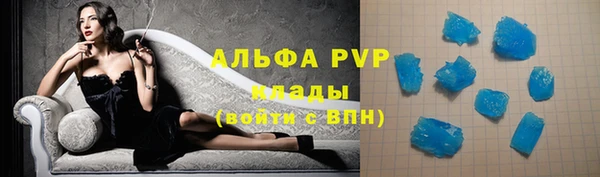 индика Алексин