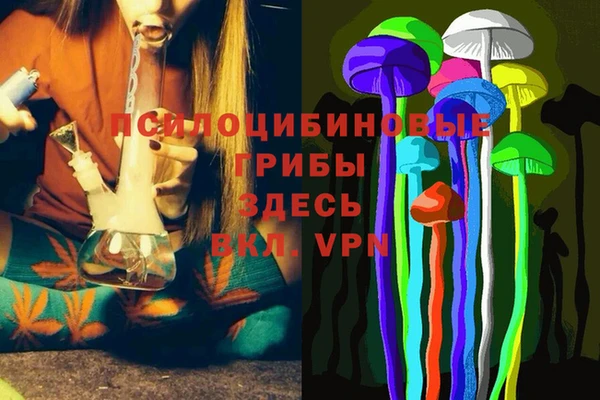 a pvp Абинск