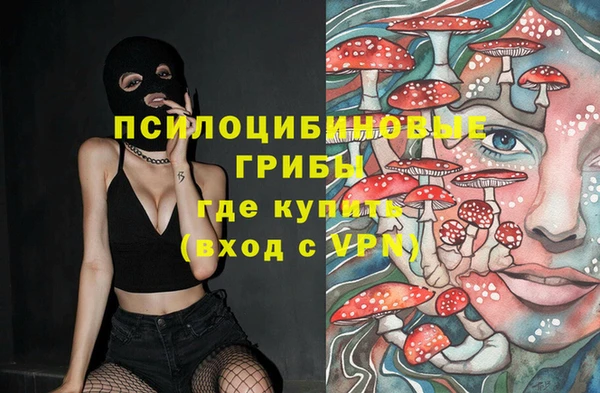 СК Алзамай